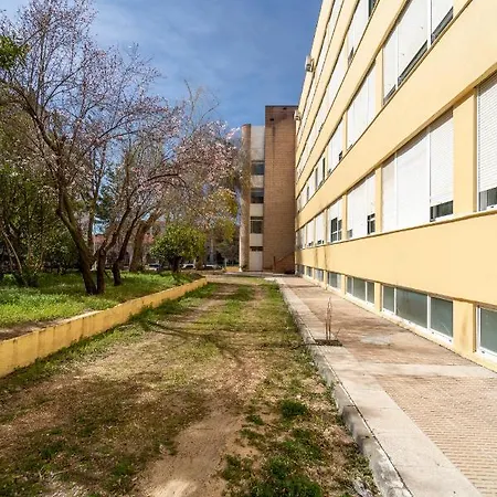 La Mota By Punta25 Group 3*