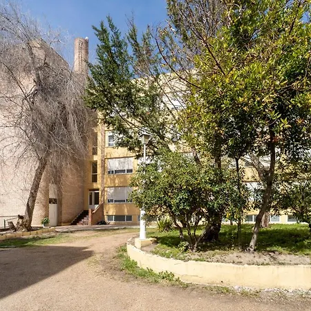 Hotel La Mota By Punta25 Group 3*