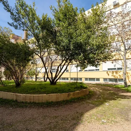 La Mota By Punta25 Group Hotel