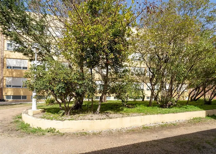 La Mota By Punta25 Group 메디나델캄포