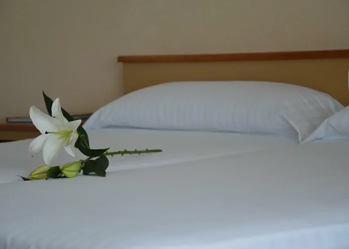 호텔 La Mota By Punta25 Group