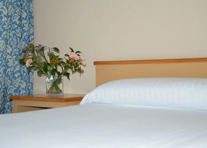 La Mota By Punta25 Group Otel 3*